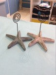 Starfish Placeholder
