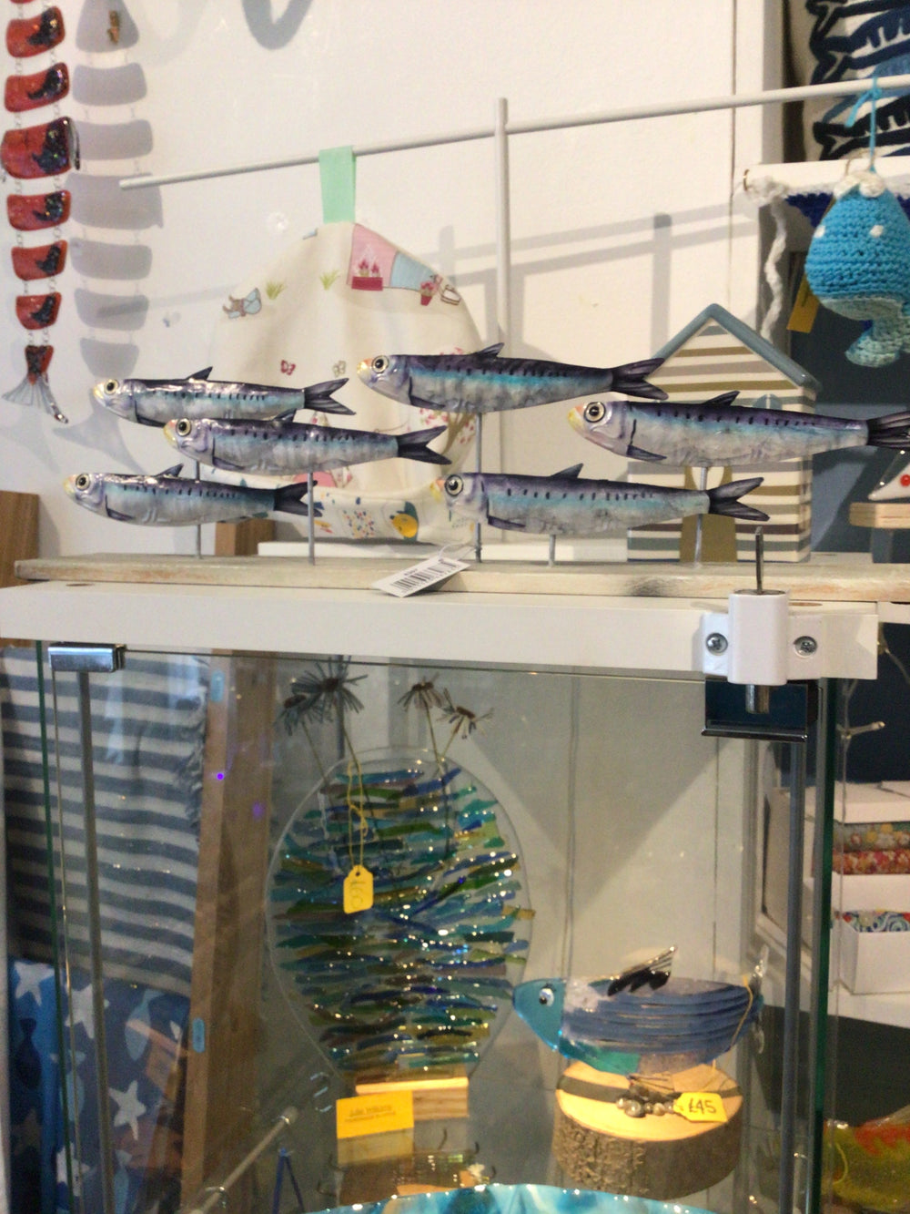 School of sardines