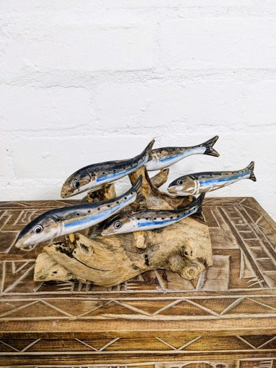 5 Eel Fish on Driftwood