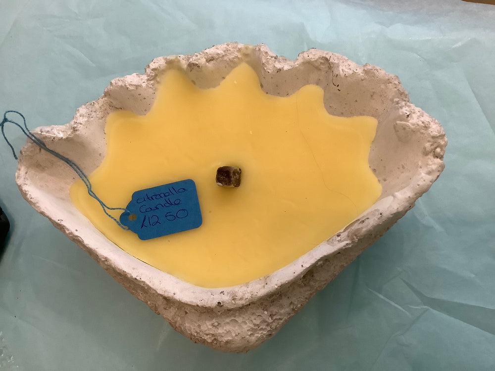 Stone Seashell with citronella candle