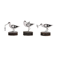 Avocet Fishing