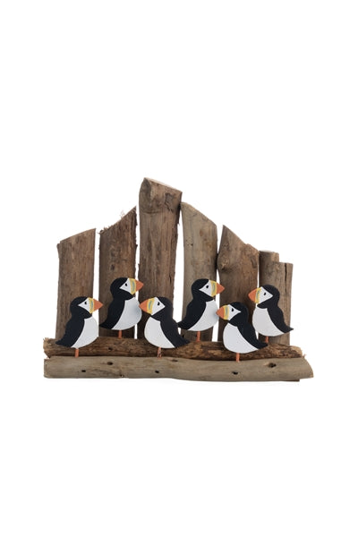 Six puffins with Groynes