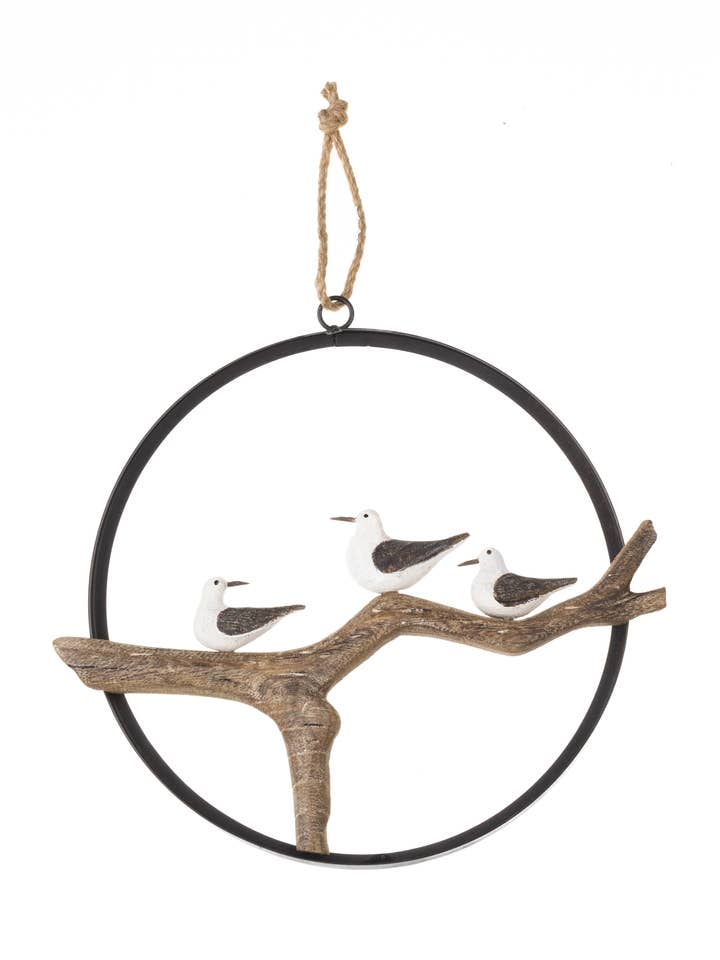 Seagulls in a Ring