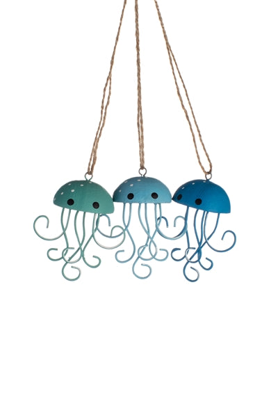 3-D Jellyfish